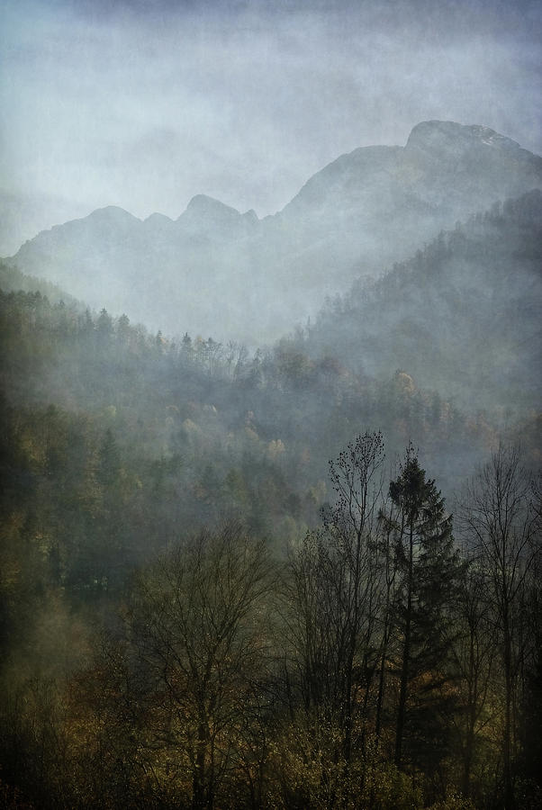 Nature Photograph - Beautiful Mist by Augenwerk Susann Serfezi