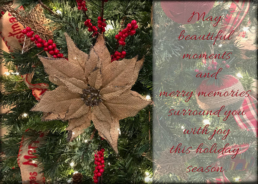Beautiful Moments Christmas Card Photograph by Teresa Wilson