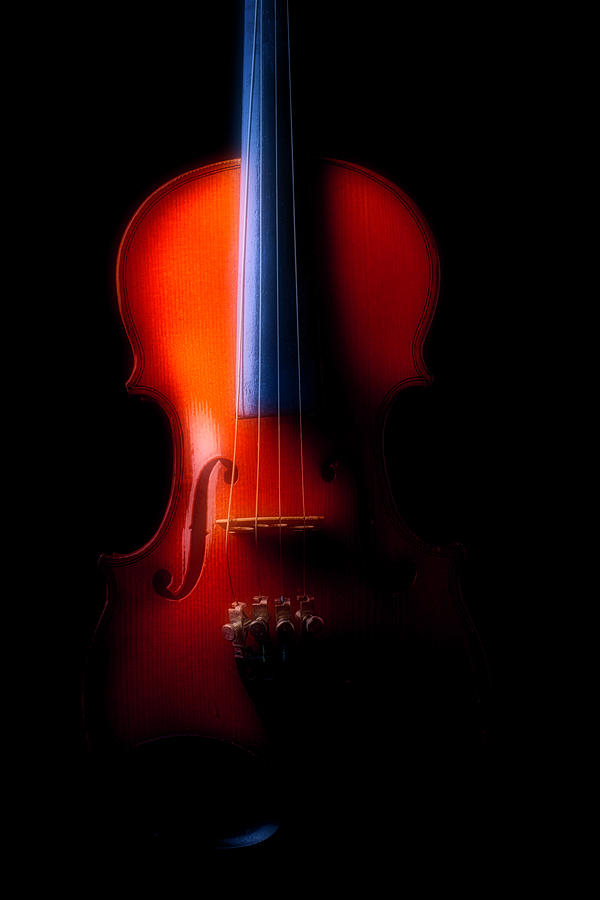 Beautiful Moody Violin Photograph by Garry Gay