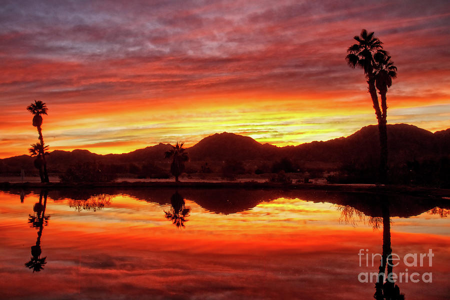 Sunset Photograph - Beautiful Morning Reflections by Robert Bales