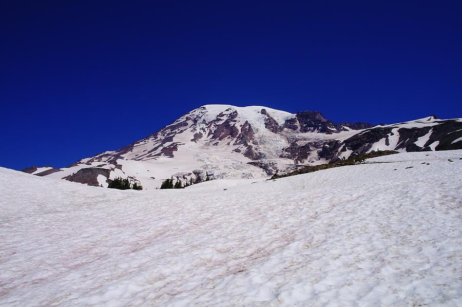 Beautiful Mount Rainier Photograph by Jeff Swan