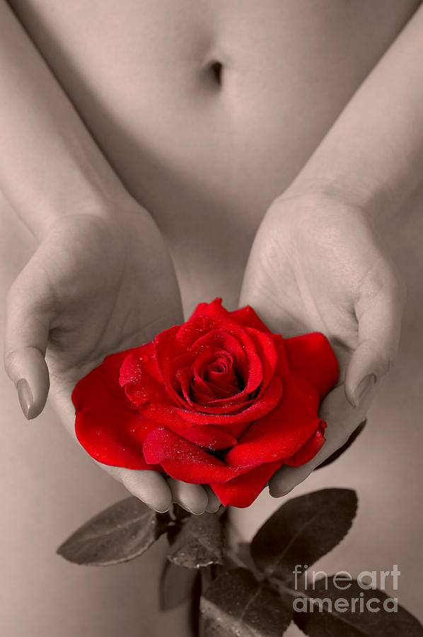Beautiful Nude Woman Holidng Red Rose Photograph by Maxim Images Exquisite Prints