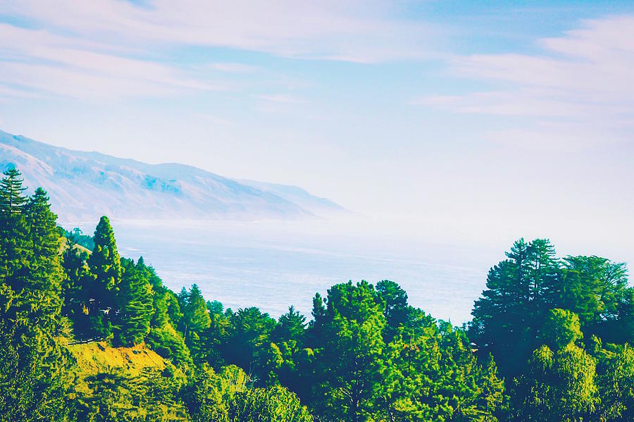 Beautiful Ocean View With Forest Front View At Big Sur, California, Usa Photograph