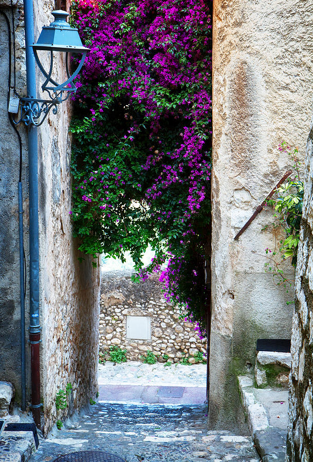 Beautiful Old Town Of Provence Photograph