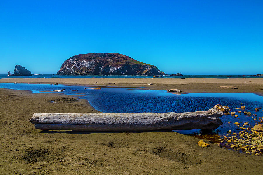 Beautiful Oregon Coastline Photograph by Garry Gay