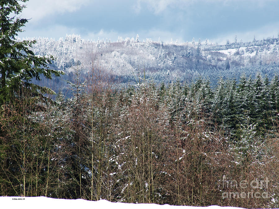 Winter Photograph - Beautiful Oregon by Shari Nees