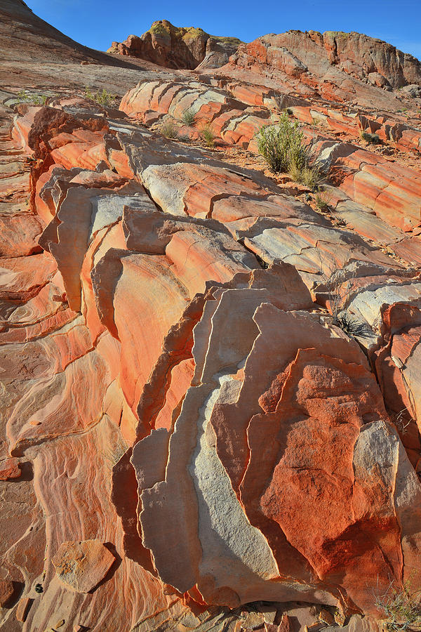 Beautiful Ornate Sandstone in Valley of Fire Photograph by Ray Mathis