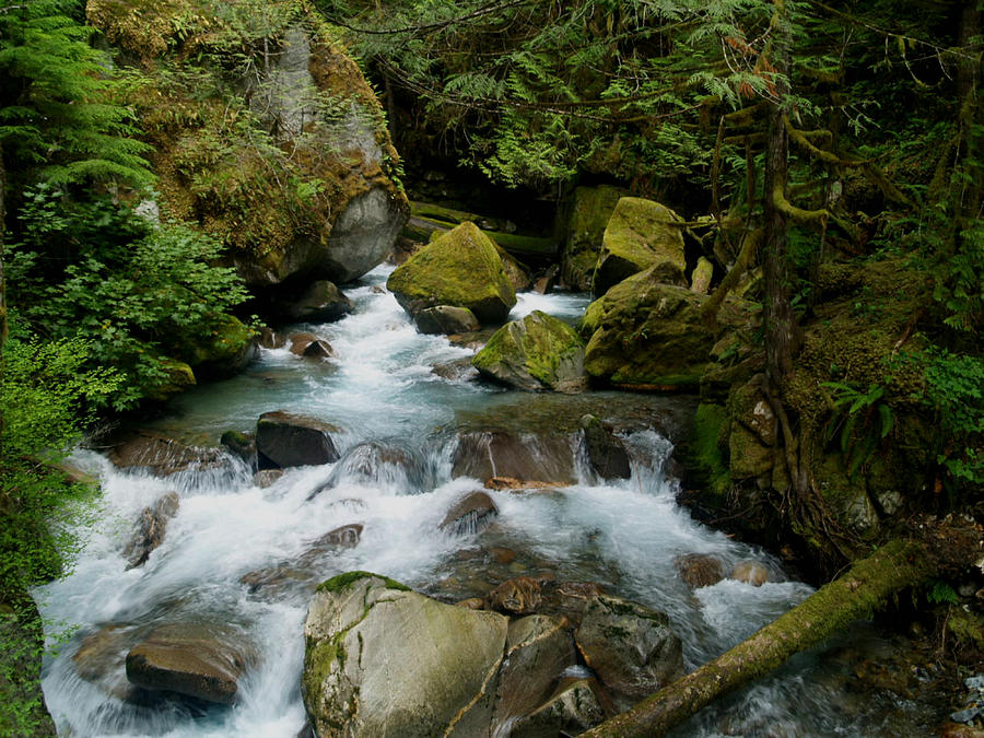 Beautiful Pacific Northwest Photograph by Steven Sloan - Fine Art America