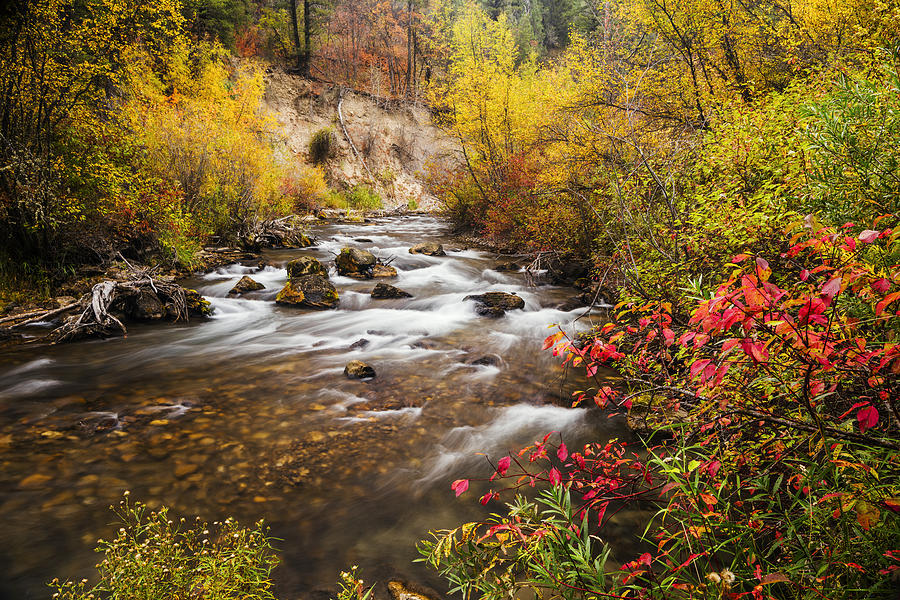 Beautiful Palisades Creek Autumn Glory in Idaho Photograph by Vishwanath Bhat