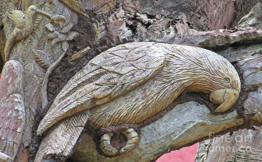 Bird Sculpture - Beautiful Parrot Sculpture in Tree by John Malone