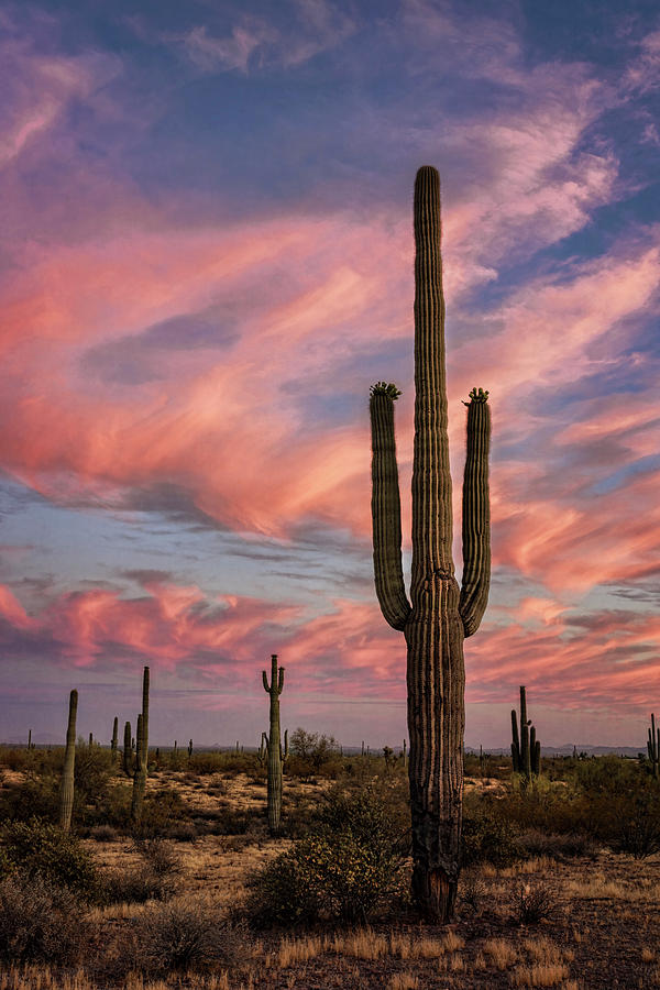 Beautiful Pastel Desert Skies Photograph by Saija Lehtonen - Fine Art ...