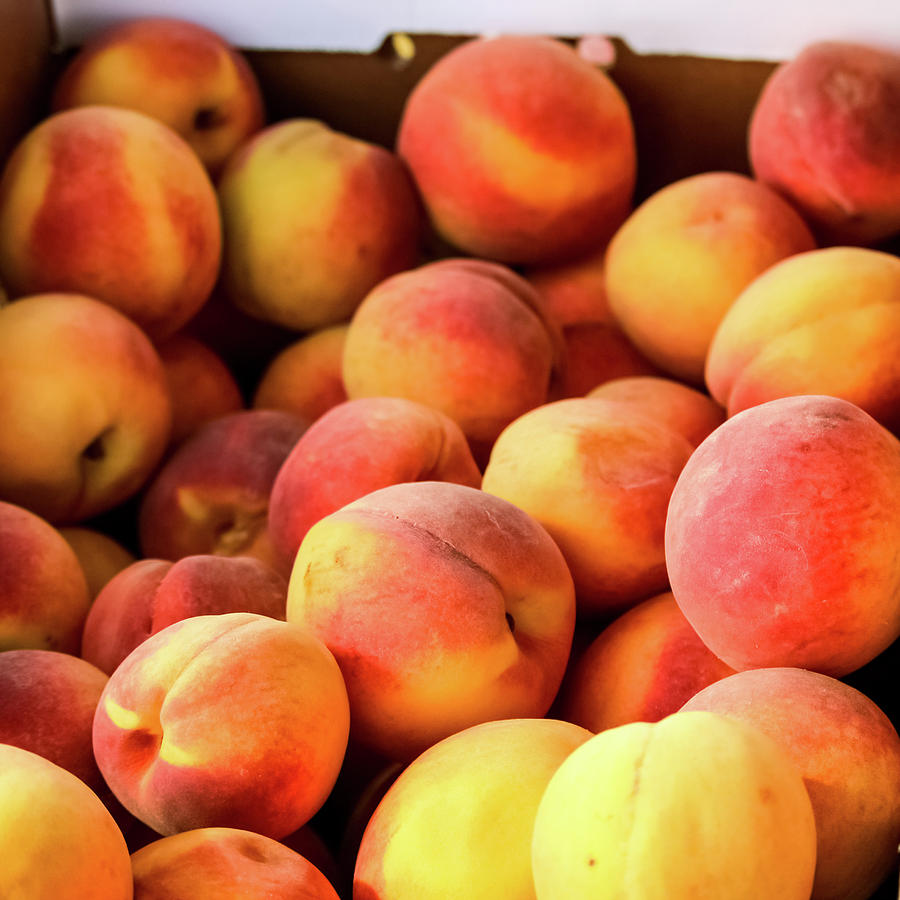 Beautiful Peaches Photograph by Cynthia Woods - Fine Art America