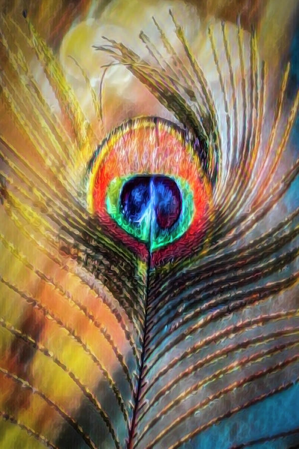 Beautiful Peacock Feather in Colorful Abstract Photograph by Debra and Dave Vanderlaan