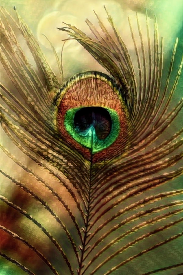 Beautiful Peacock Feather in Natures Shades Photograph by Debra and Dave Vanderlaan