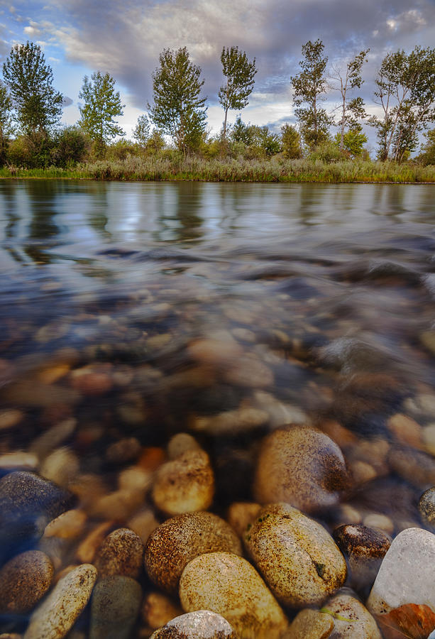 Boise Photograph - Beautiful Pebbles in Boise River Idaho by Vishwanath Bhat