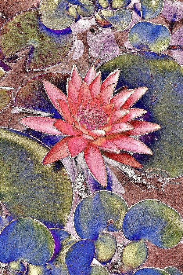 Beautiful Pink Lotus Abstract Photograph by Kim Bemis