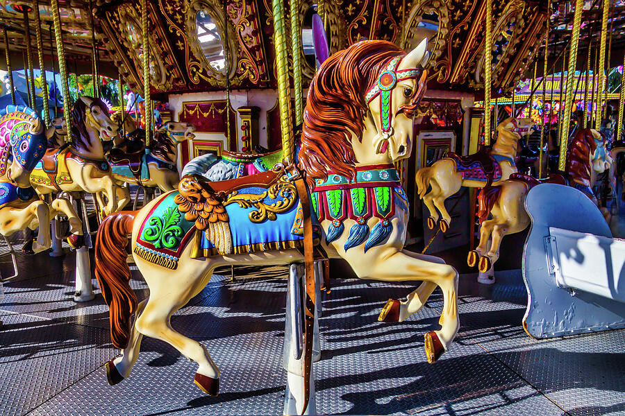 Beautiful Prancing Carrousel Horse Photograph by Garry Gay