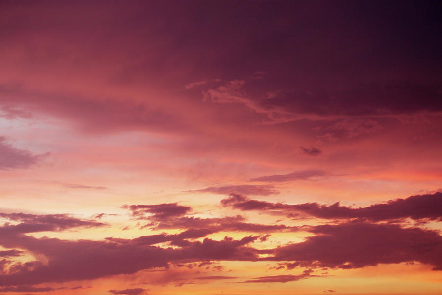 Beautiful Purple Sunset By Iuliia Malivanchuk Photograph