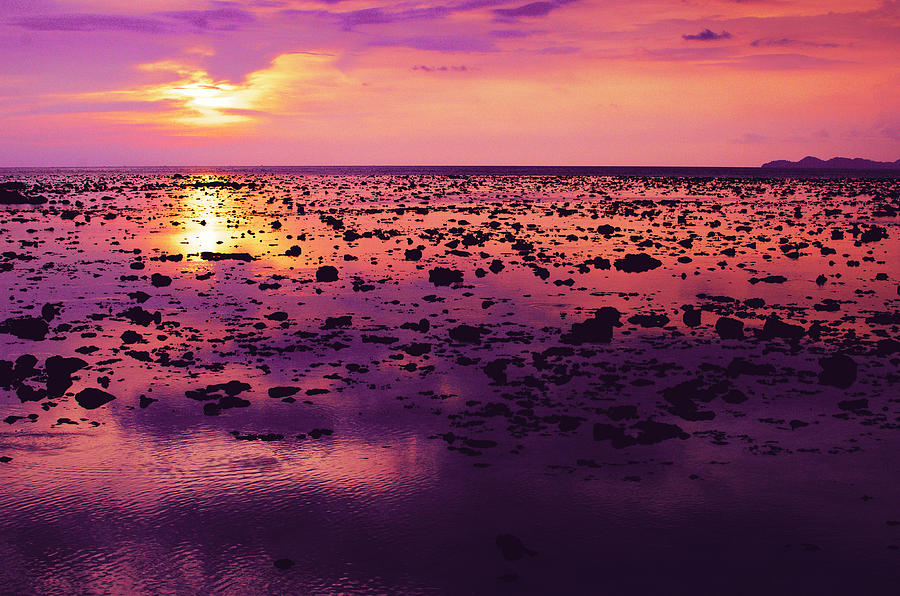  Beautiful  purple  sunset during tide shows up rocky beach  