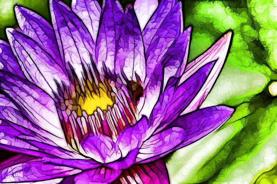 Beautiful purple waterlily 4 Painting by Jeelan Clark