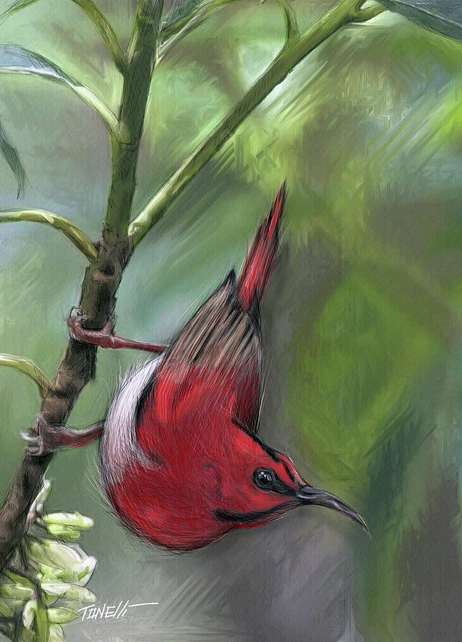 BIRDS Eye, Red Bird Mixed Media by Mark Tonelli