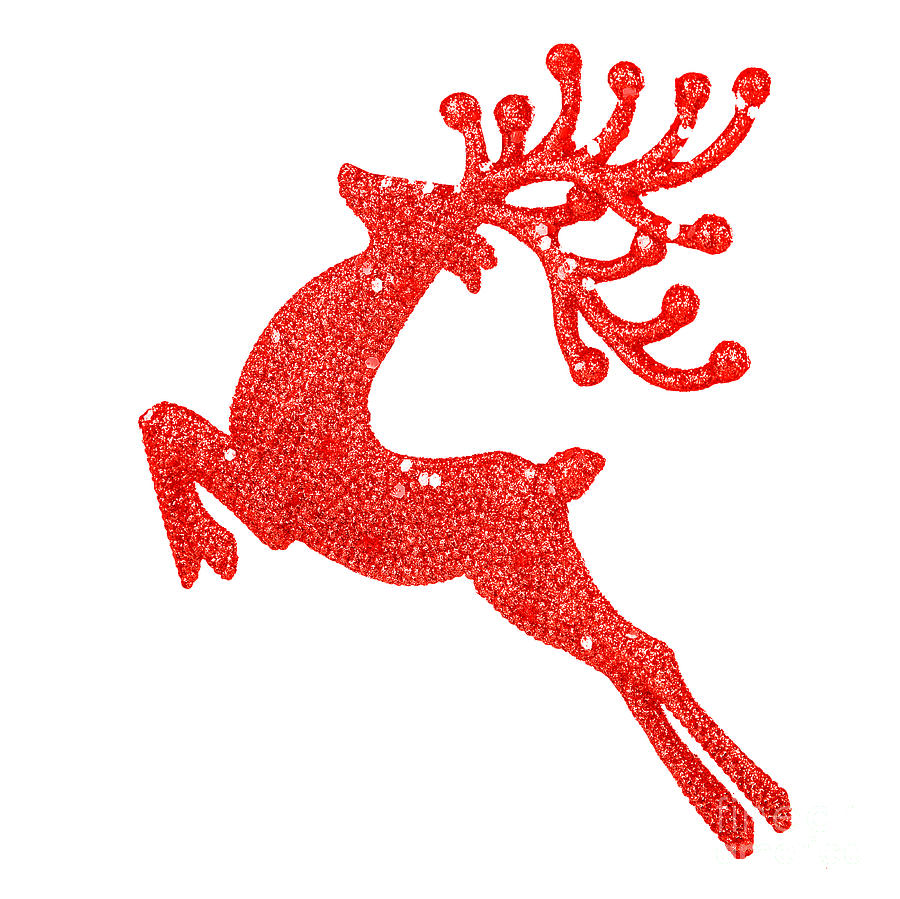 Beautiful red reindeer decoration Photograph by Anna Om
