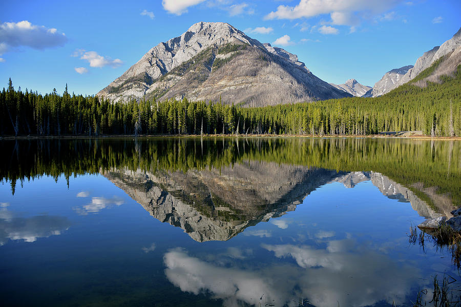 Beautiful reflection Photograph by Oleksiy Maloshtan - Fine Art America