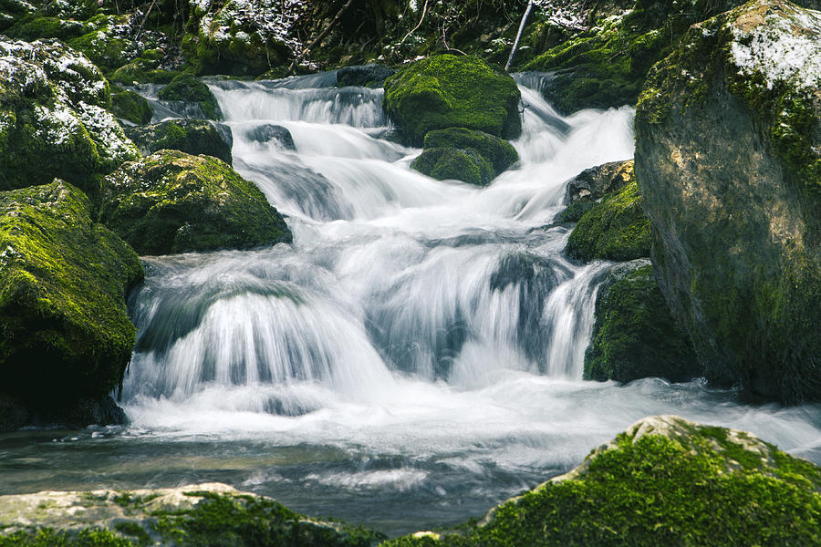 https://images.fineartamerica.com/images/artworkimages/mediumlarge/1/beautiful-river-in-forest-sandra-rugina.jpg