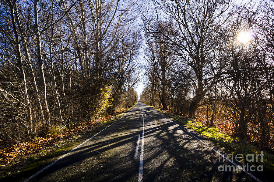 Beautiful roads in winters shadow Photograph by Jorgo Photography