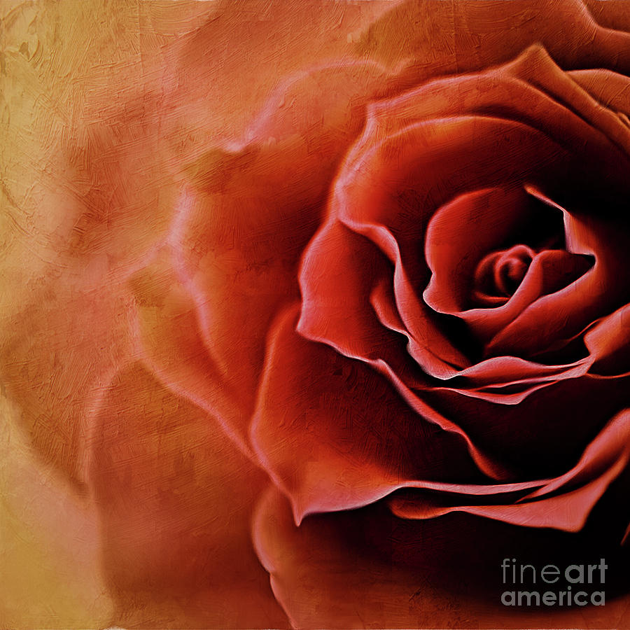 Beautiful Rose 921 Painting by Gull G