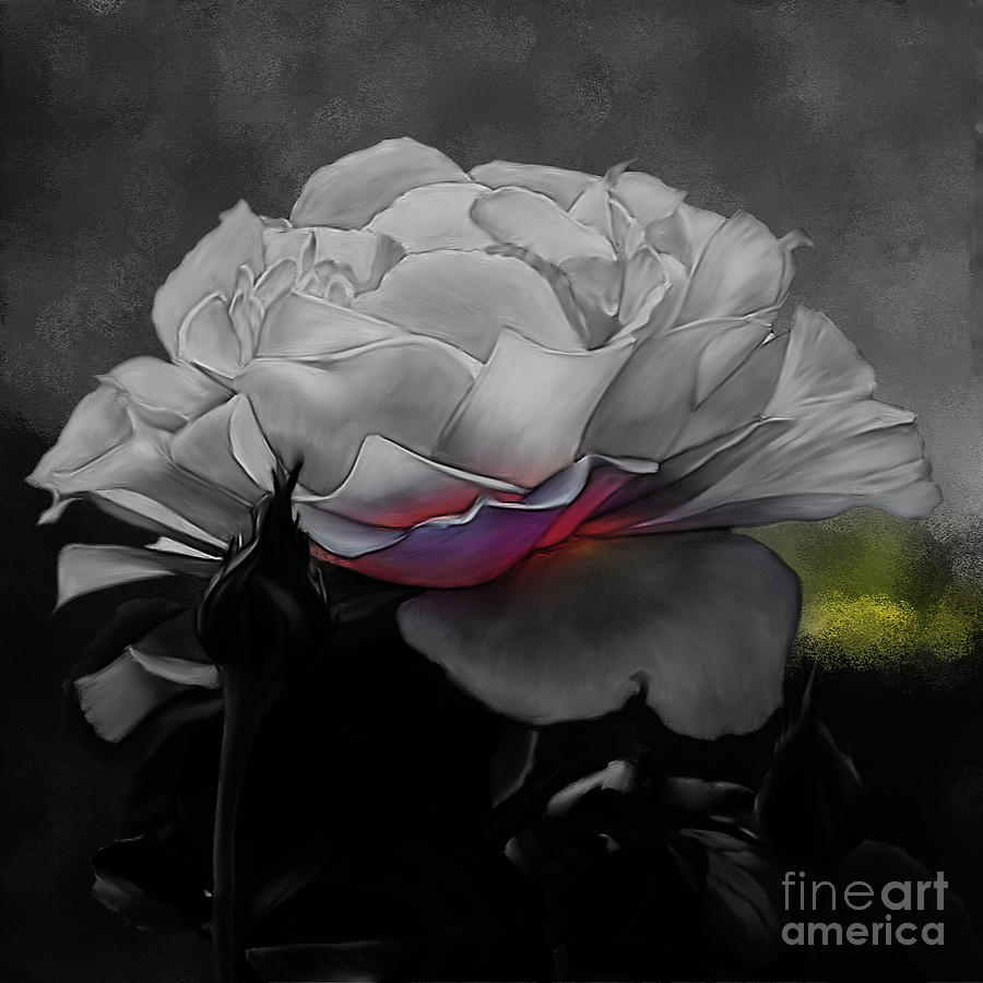 Beautiful Rose in Black  Painting by Gull G