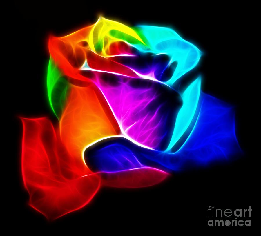 beautiful colorful roses