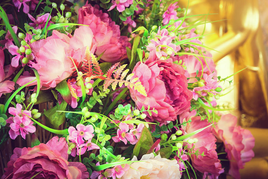 Beautiful Rose Pink Flowers Photograph