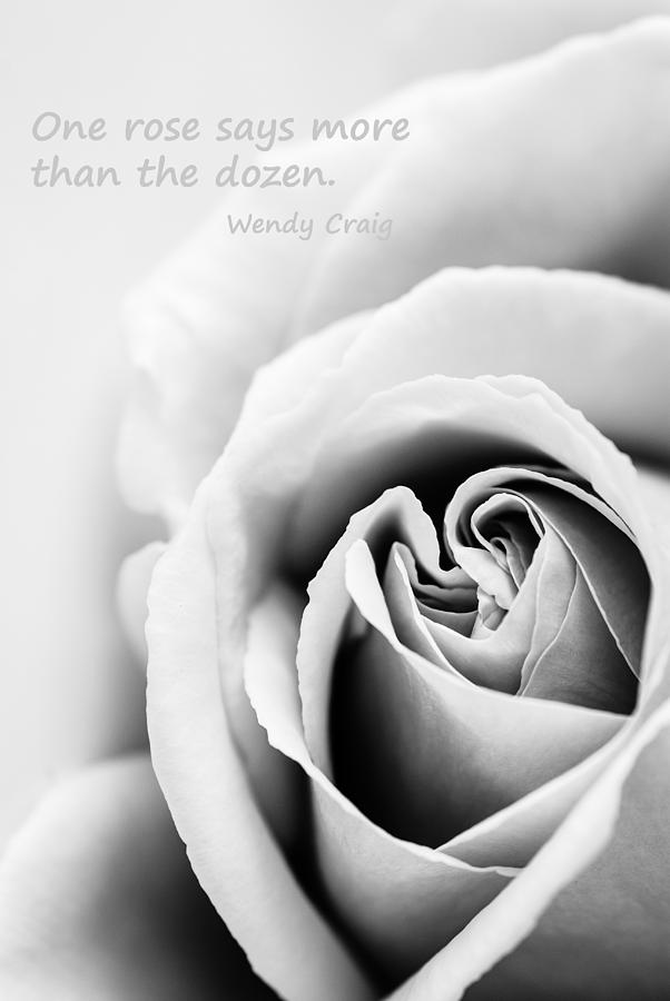 Beautiful rose with a famous quote Photograph by Vishwanath Bhat