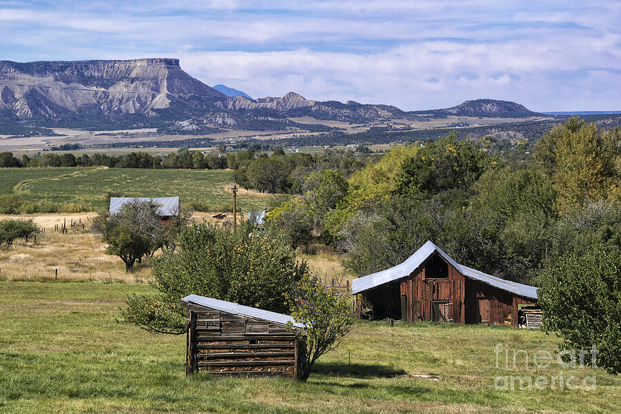 Beautiful Rural Mancos Colorado Photograph by Priscilla Burgers