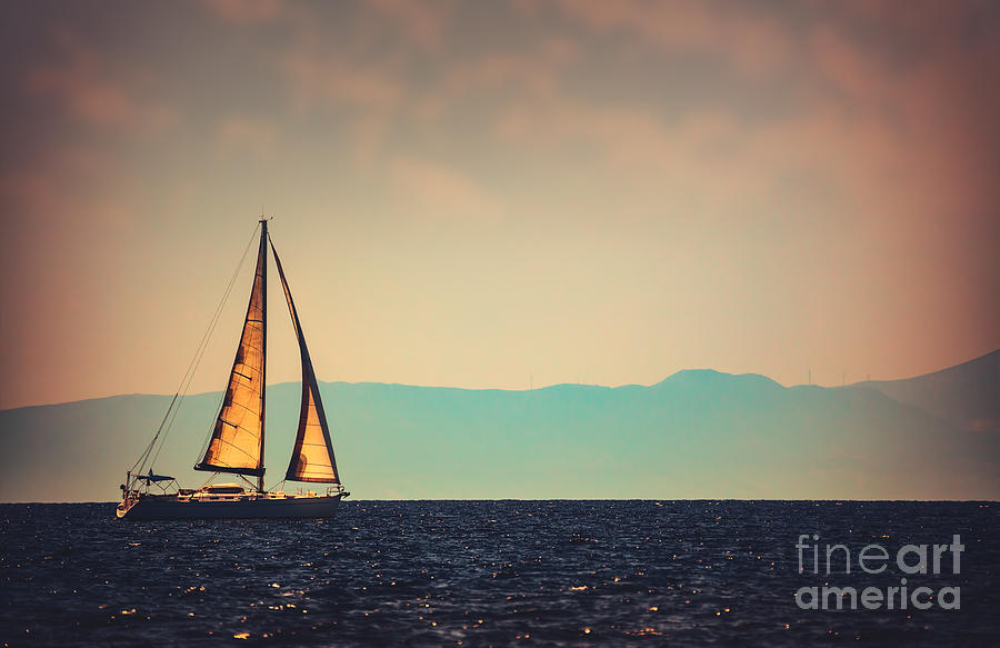 Beautiful sailboat in the distance Photograph by Anna Om