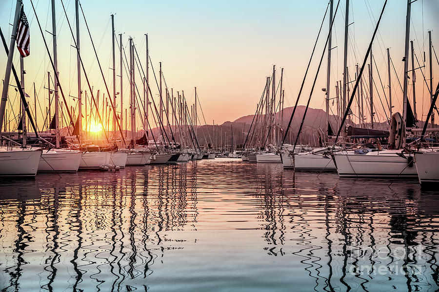 Beautiful sailboats in the dock Photograph by Anna Om