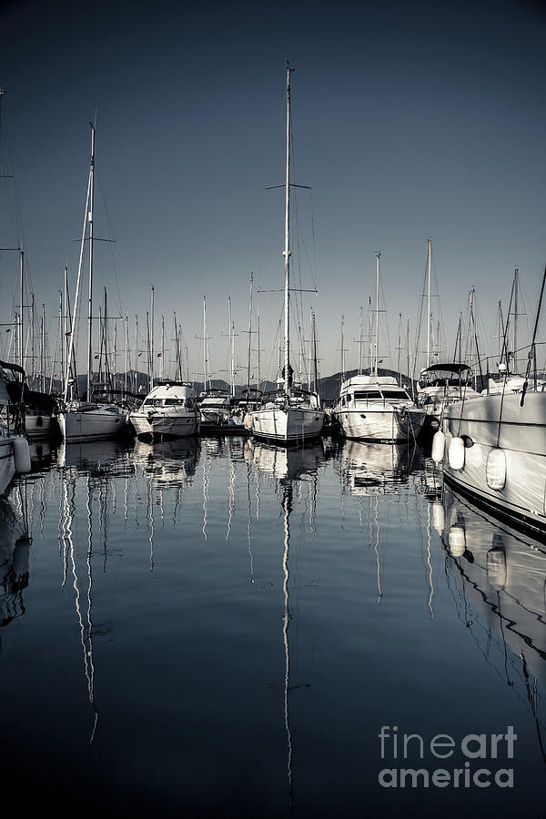 Beautiful sailboats in the harbor Photograph by Anna Om