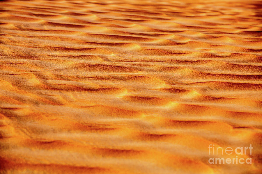 Beautiful sand background Photograph by Anna Om