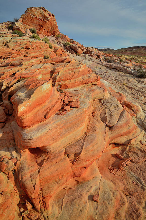 Beautiful Sandstone of Valley of Fire Photograph by Ray Mathis