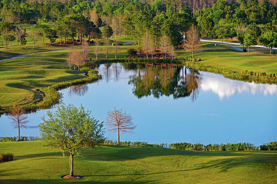 Beautiful Scenery That Is Part Of The Shingle Creek Golf Club Course In Orlando Florida Photograph by Rick Rosenshein
