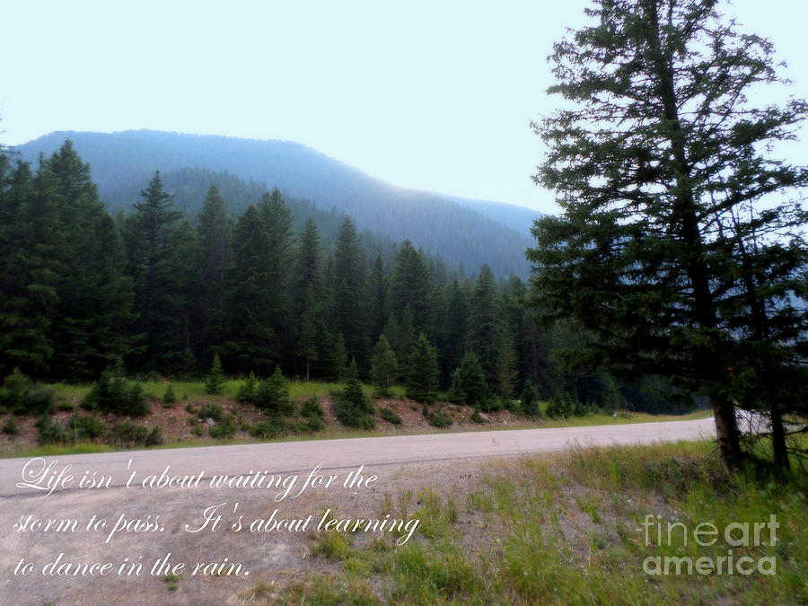 Beautiful Scenery With Life Quote Photograph by Kay Novy