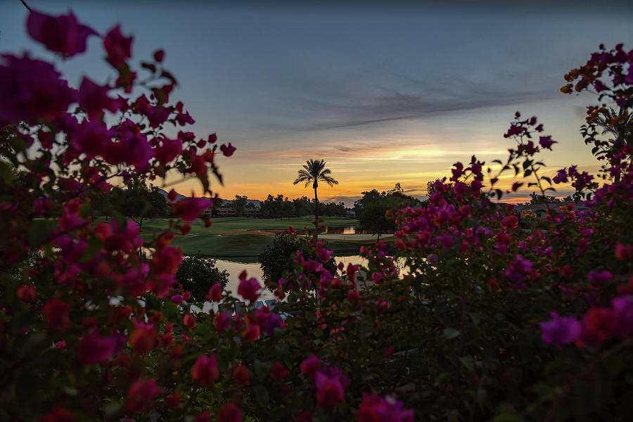 Beautiful Scottsdale Sunrise Photograph by Anthony Doudt