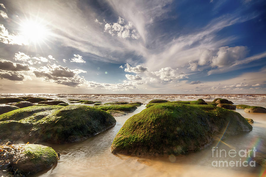 Beautiful seaweed rock outcrops on Norfolk coast Photograph by Simon Bratt