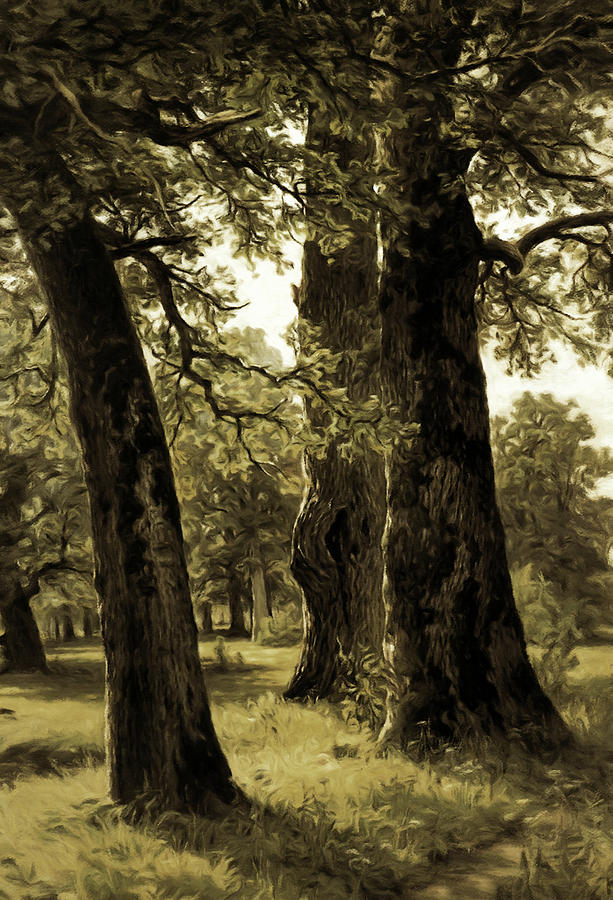 Oak Trees Mixed Media - Beautiful Sepia Oak Trees Reach To The Skies by Georgiana Romanovna