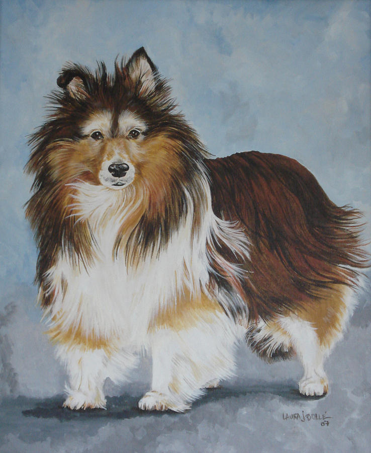 Beautiful Sheltie standing Painting by Laura Bolle