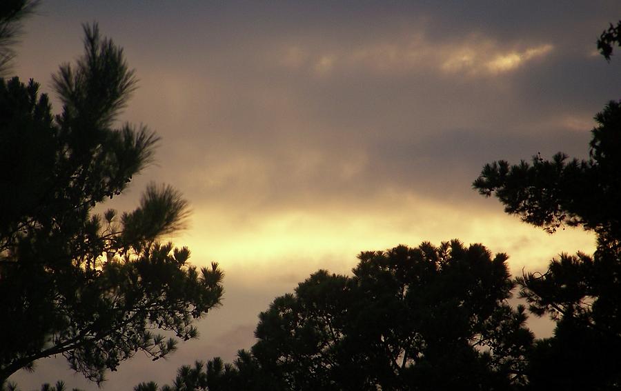 Tree Photograph - Beautiful sky and clouds by Susan Anderson