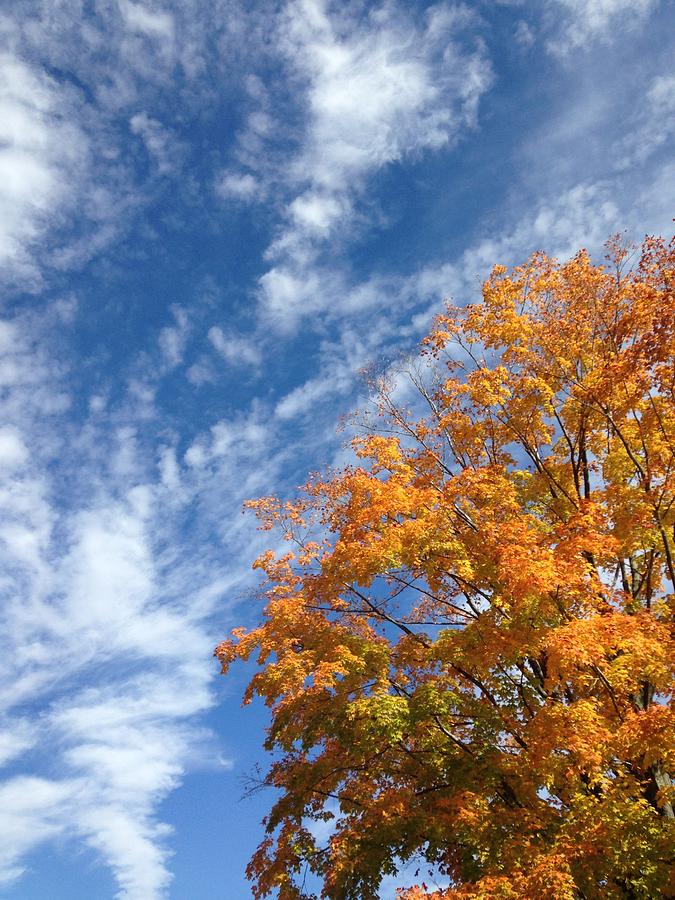 Beautiful Sky Photograph by Diane Dobrowolski - Fine Art America