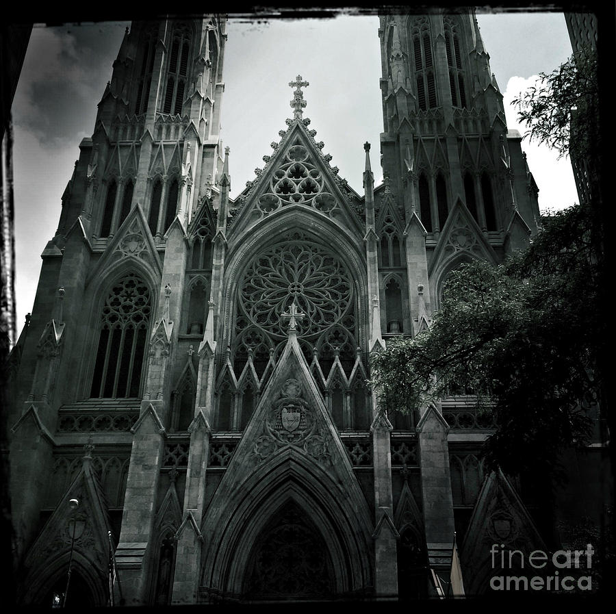 Beautiful St Patricks Cathedral Photograph by Miriam Danar