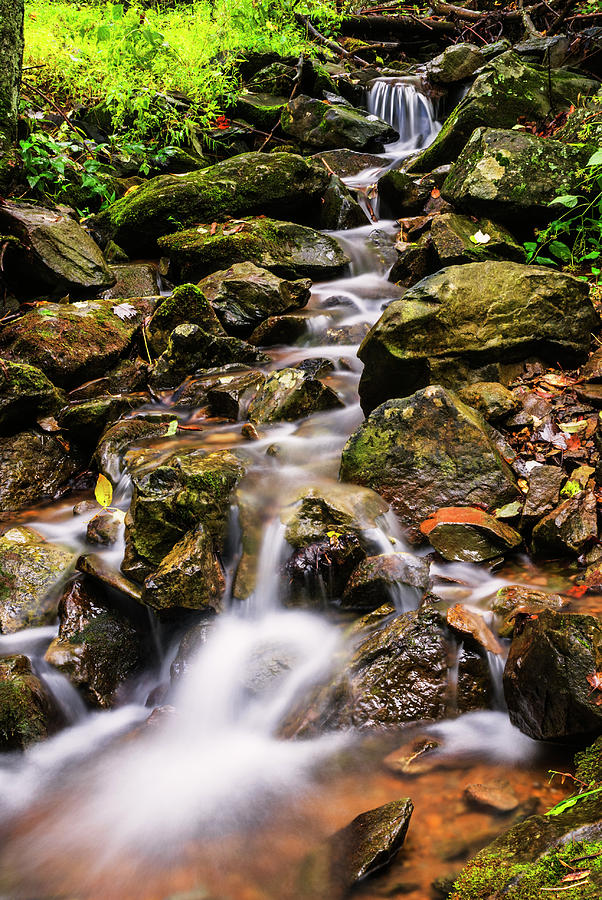 Beautiful stream in Shenandoah NP Photograph by Vishwanath Bhat